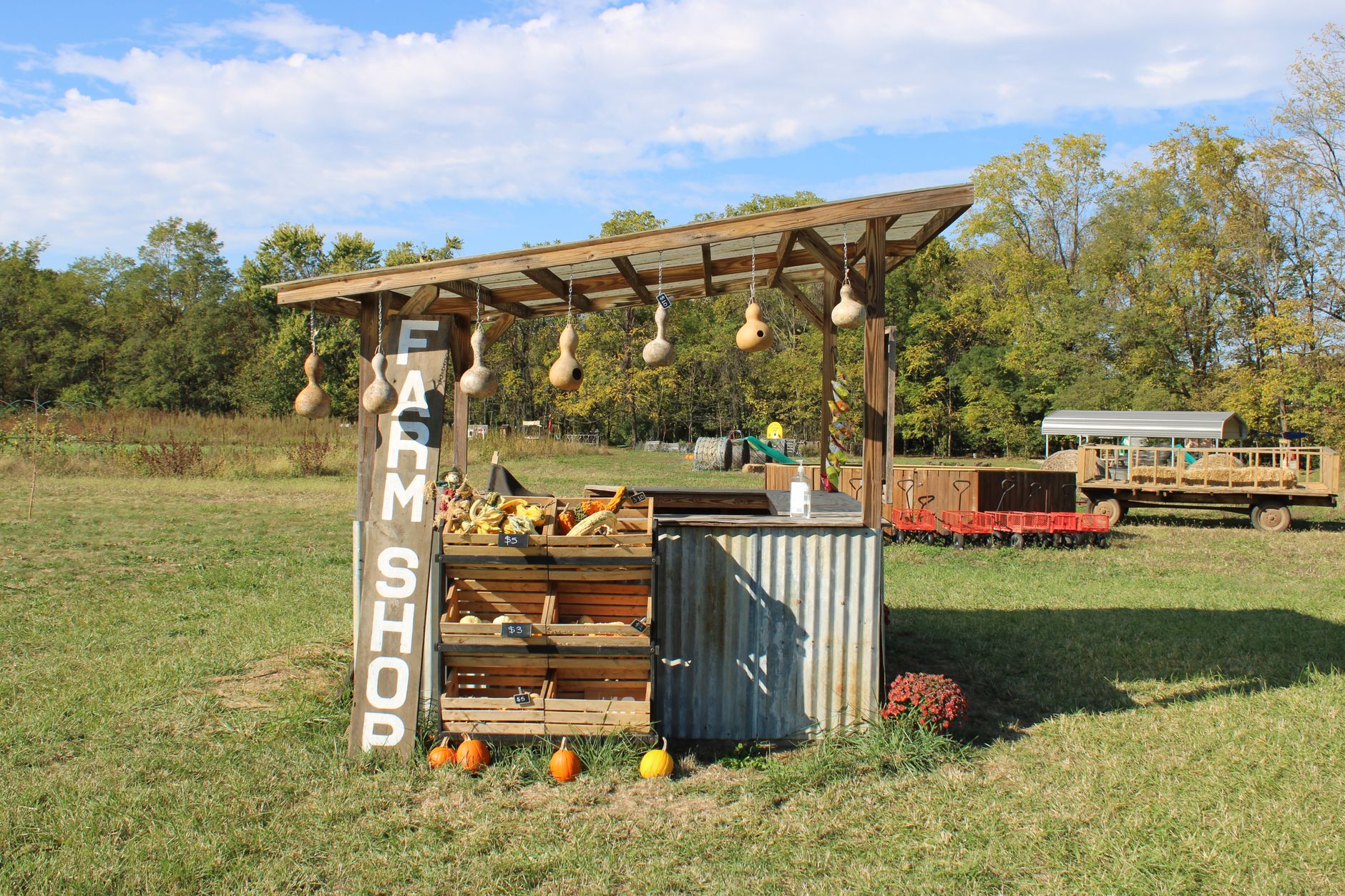Charming rural farm shop in Ohio selling pumpkins and produce outdoors.