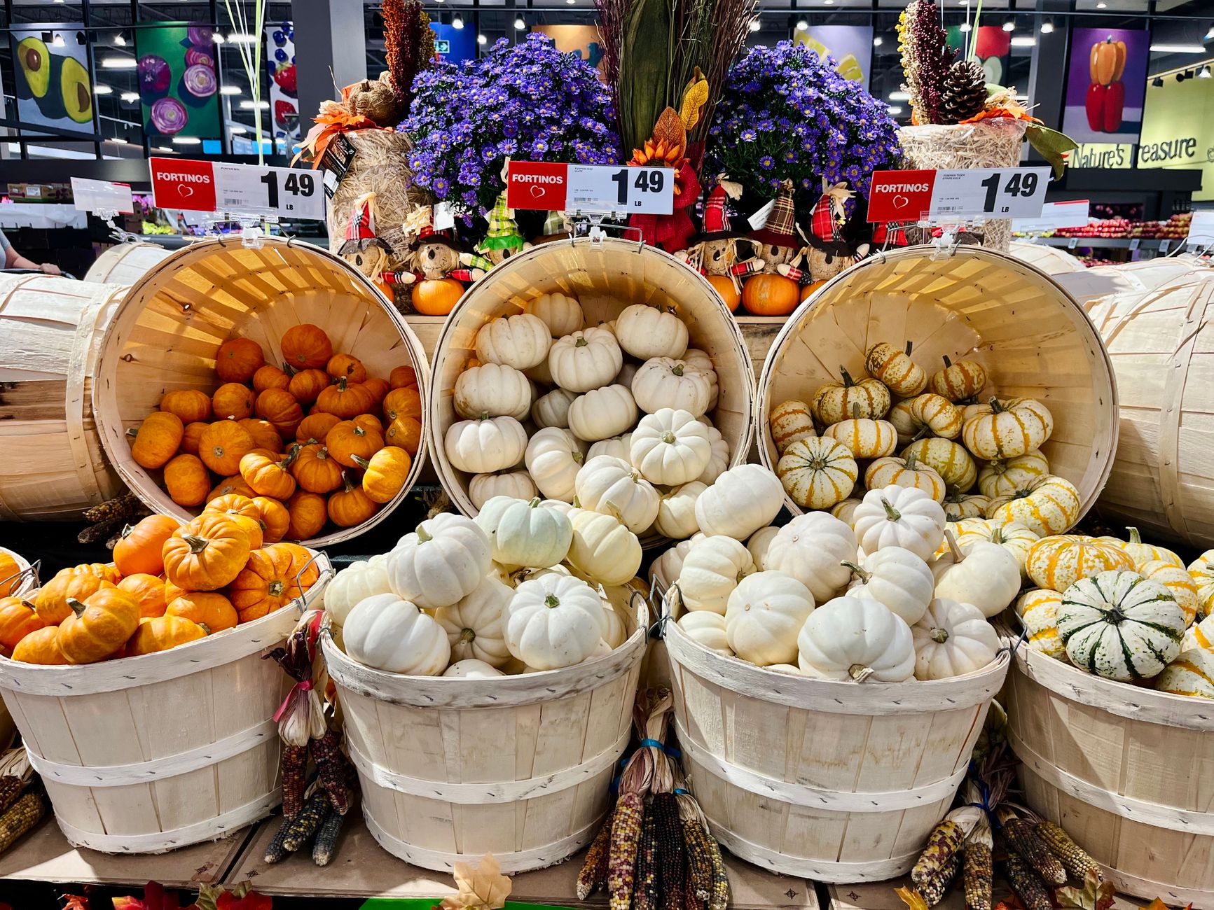 A variety of colorful mini pumpkins and gourds on display in wooden baskets for fall decoration.