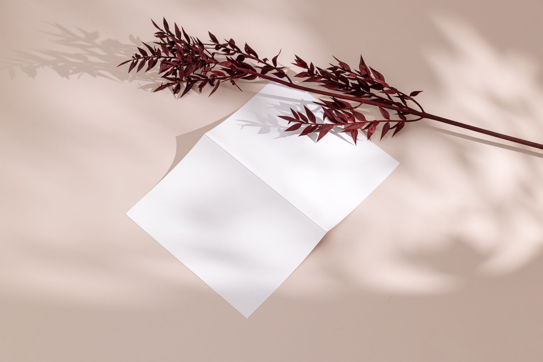 10 Instagram Follow Up DM Templates That Work (Even After the 2026 Algorithm Shift)