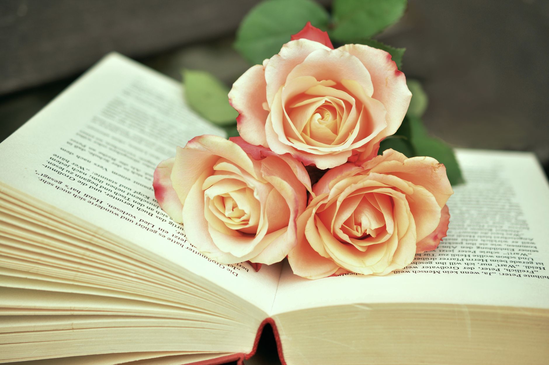21 Funny Gifts for Book Lovers Who'd Rather Be Reading (2026 Guide)