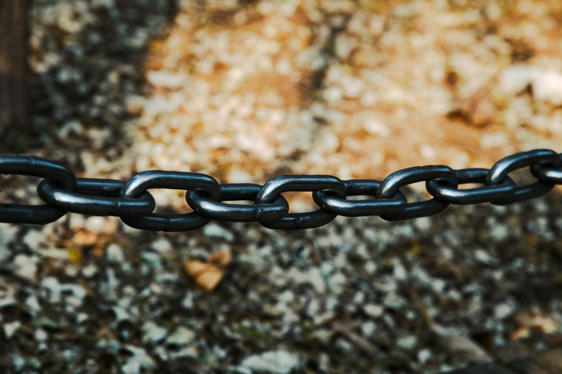 7 Best Link Building Strategies for New Websites That Actually Work in 2026