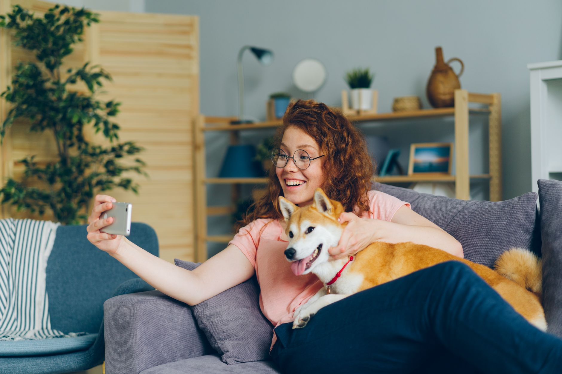 7 Pet Hair Removal Hacks Furniture Owners Swear By in 2026