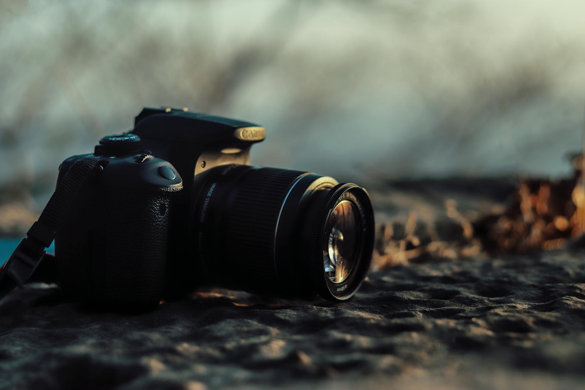 Affordable Camera Gear for Travel Photography: 7 Under-$500 Setups That Actually Deliver in 2026