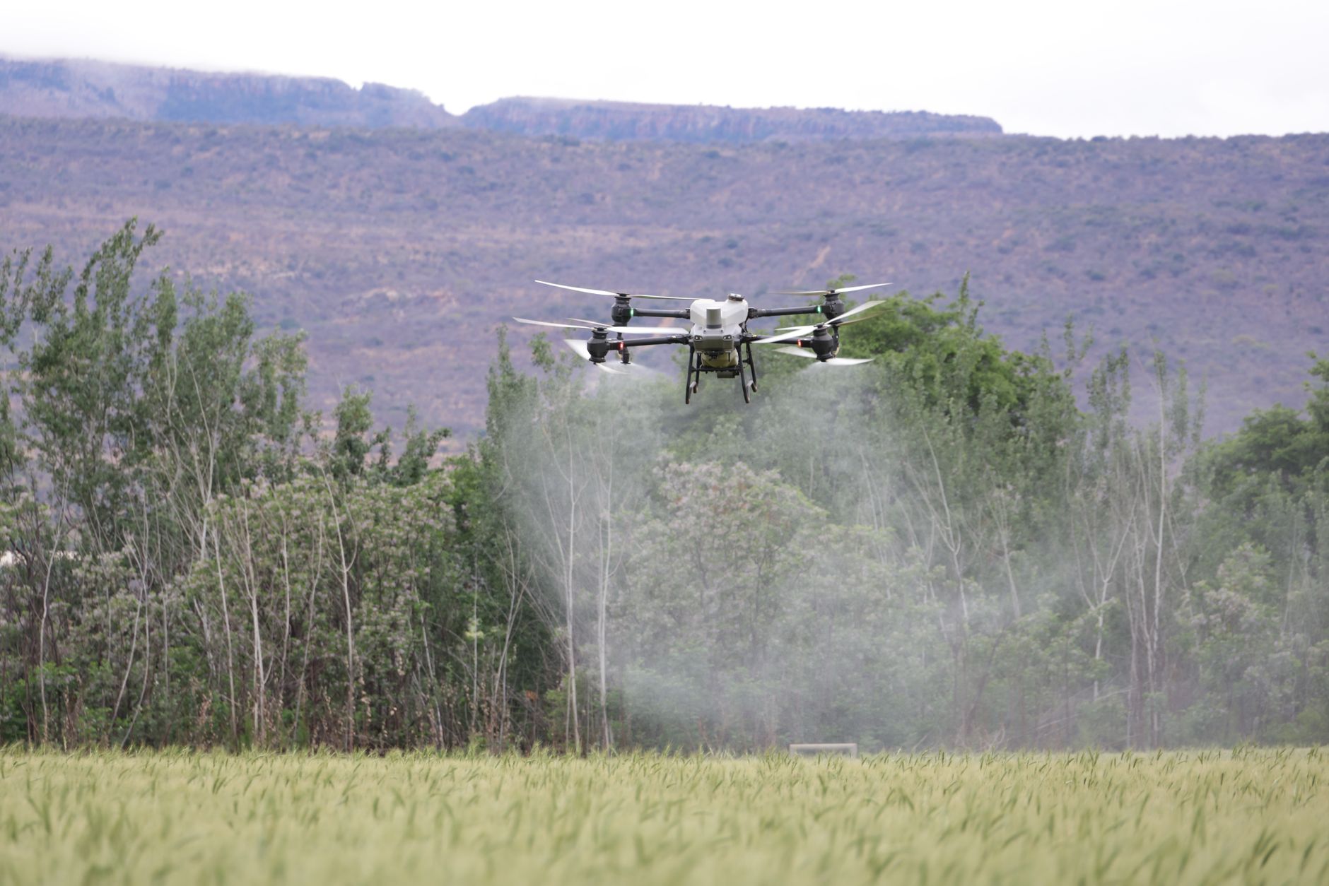 Agriculture Drone Spraying Systems Comparison: How 2026's Autonomous Fleets Are Changing Farm Economics
