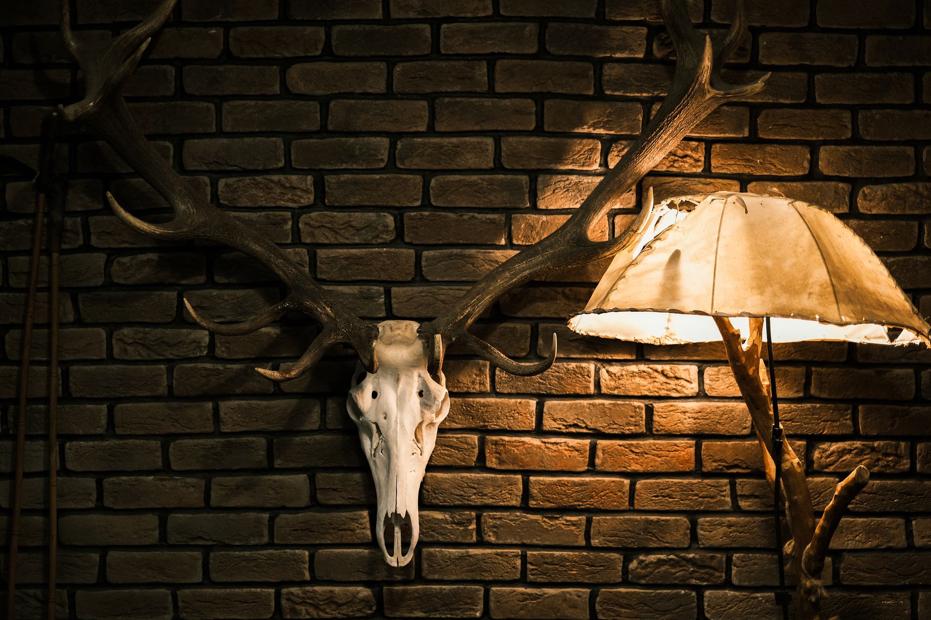 Antique Hunting Tools Beginners Actually Need (Skip the Fancy Gear in 2026)