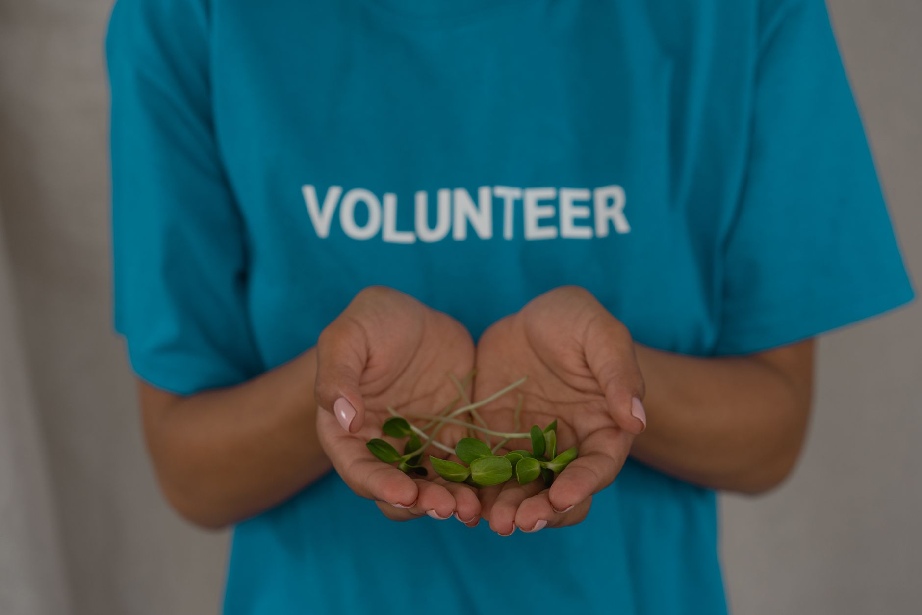 Appalachian Conservation Volunteer Trips 2026: Which Trail Crew Actually Gives You Wilderness Skills Worth Keeping?