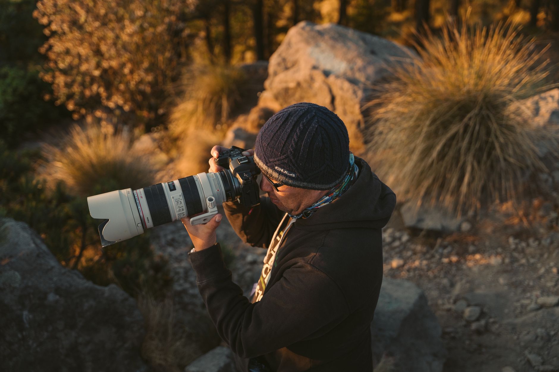 Beginner Wildlife Photography Camera Settings Explained: Why the 2026 'Slow Safari' Movement Is Changing Everything