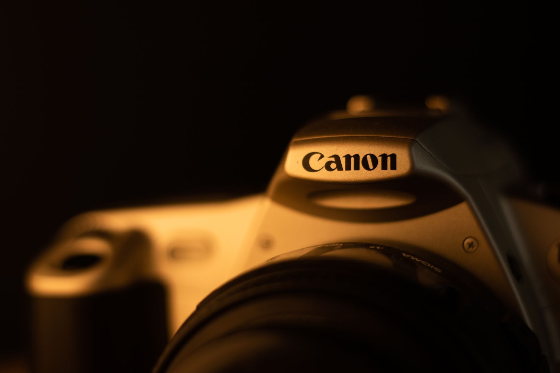 Best Camera for Low Light Photography: 2026 Buyer's Guide Tested in Real Darkness