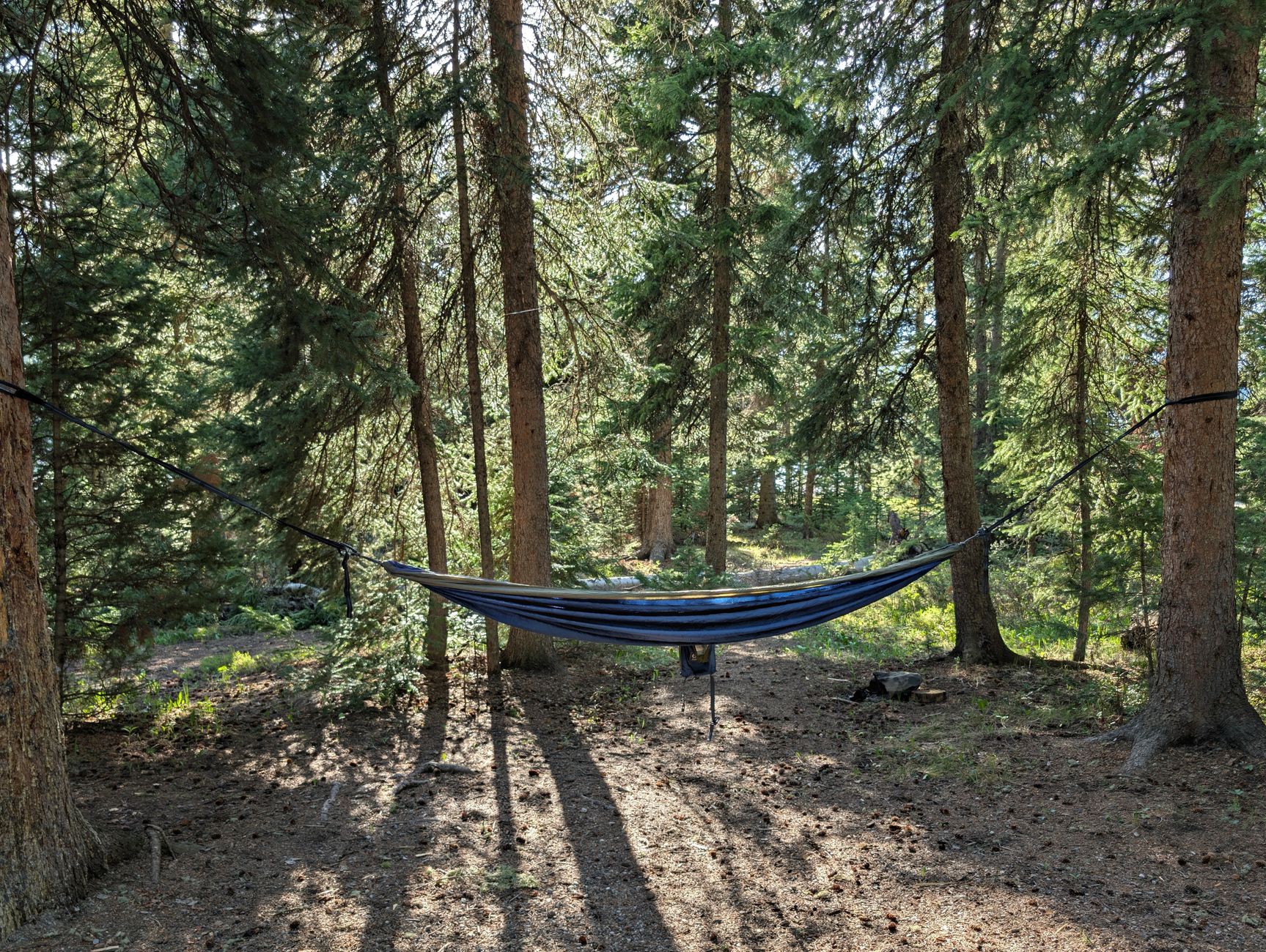 Best Camping Hammocks with Mosquito Nets: 2026 Field-Tested Picks for Bug-Free Wilderness Sleep