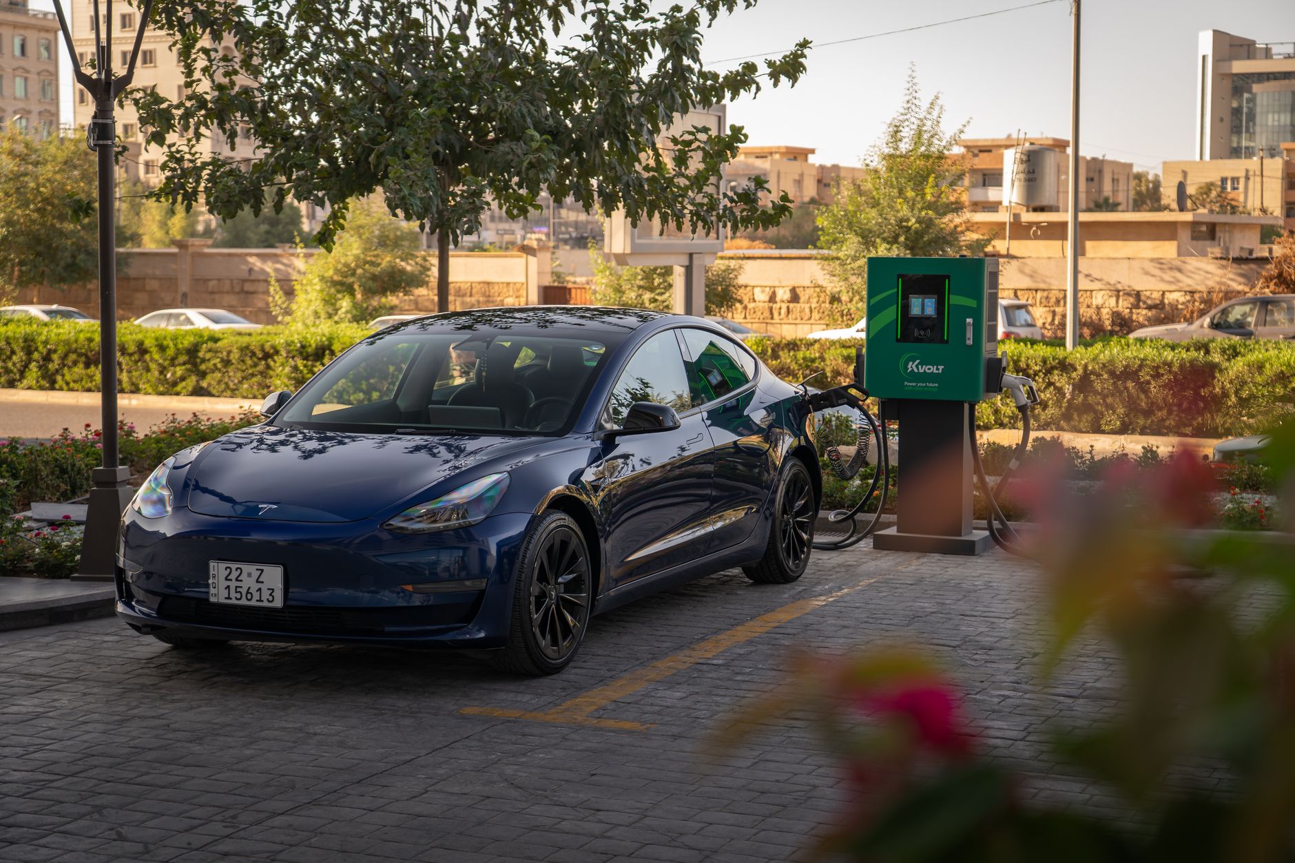 Best Electric Cars for Seniors Easy Entry: 2026 Models That Prioritize Comfort and Accessibility