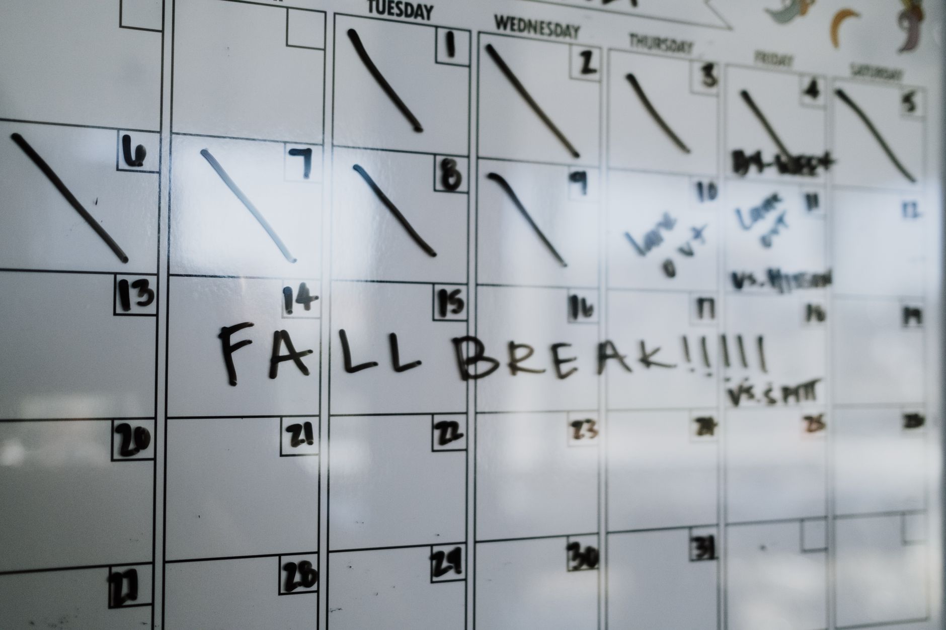 Best Time to Buy Appliances in 2026: A Month-by-Month Savings Guide