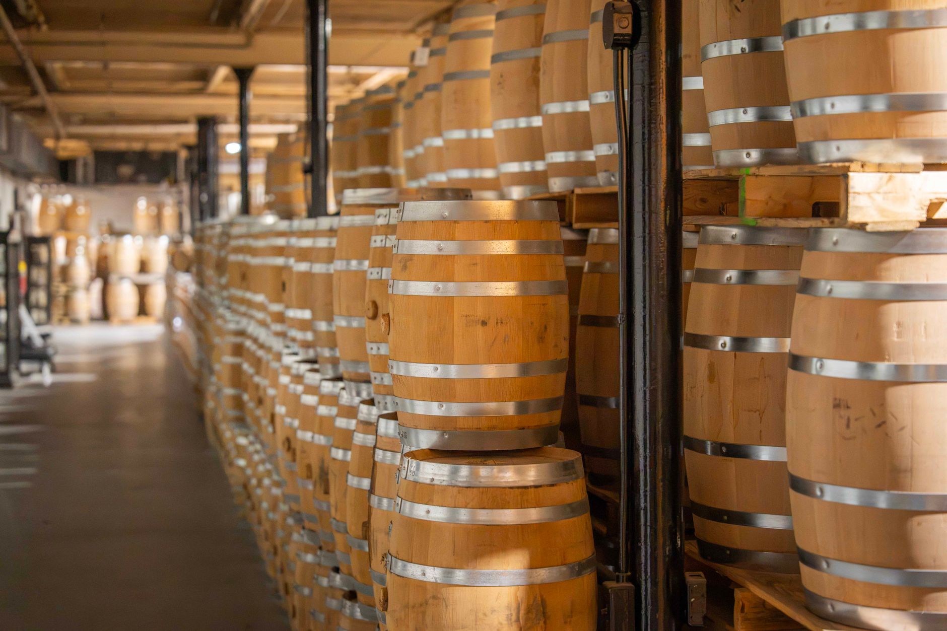 Bourbon Trail Distillery Tours by Region: The 2026 Geographic Strategy Guide