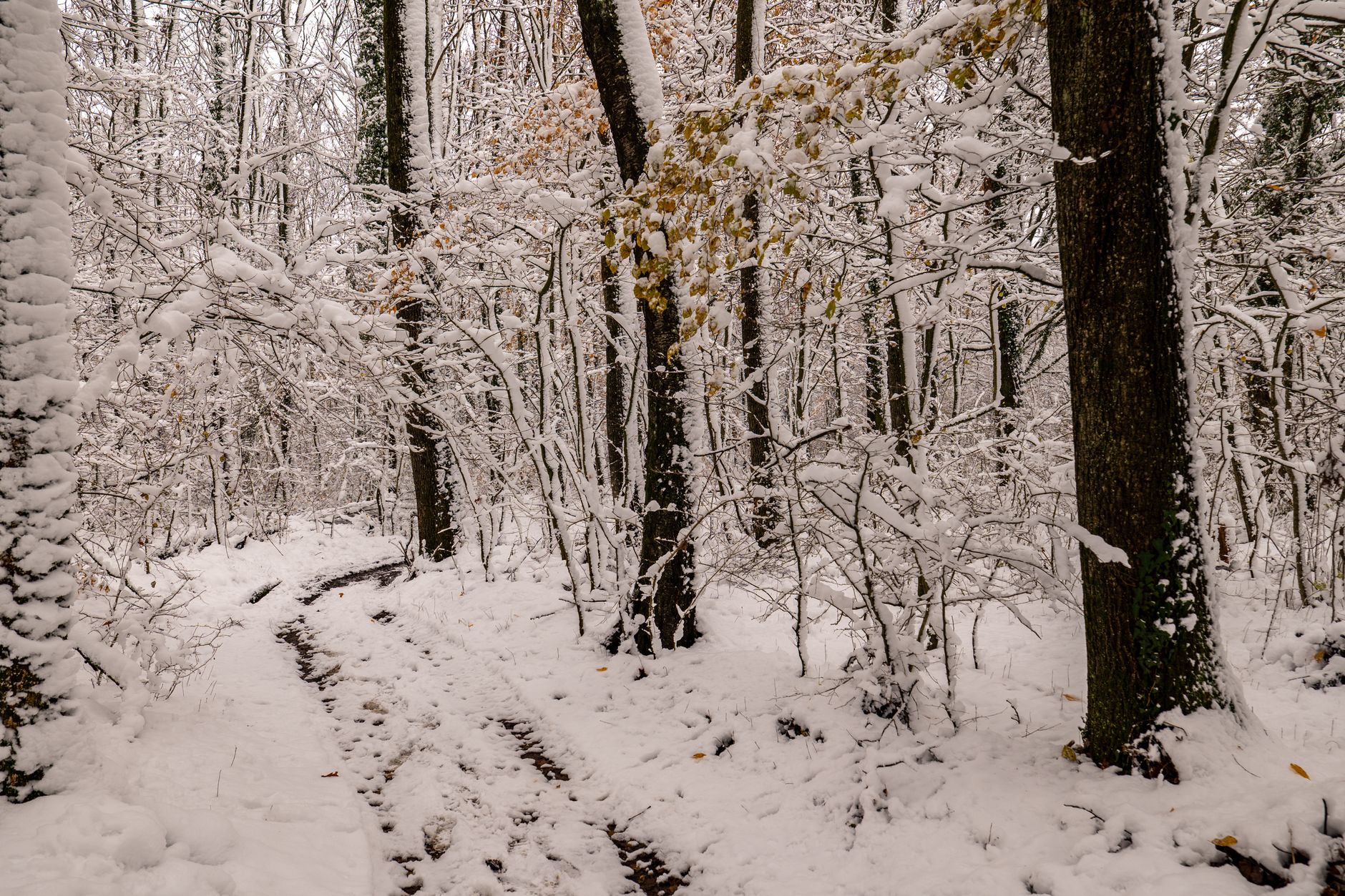 Bourbon Trail Winter Visit Tips: Why the Cold Months Deliver the Warmest Experiences