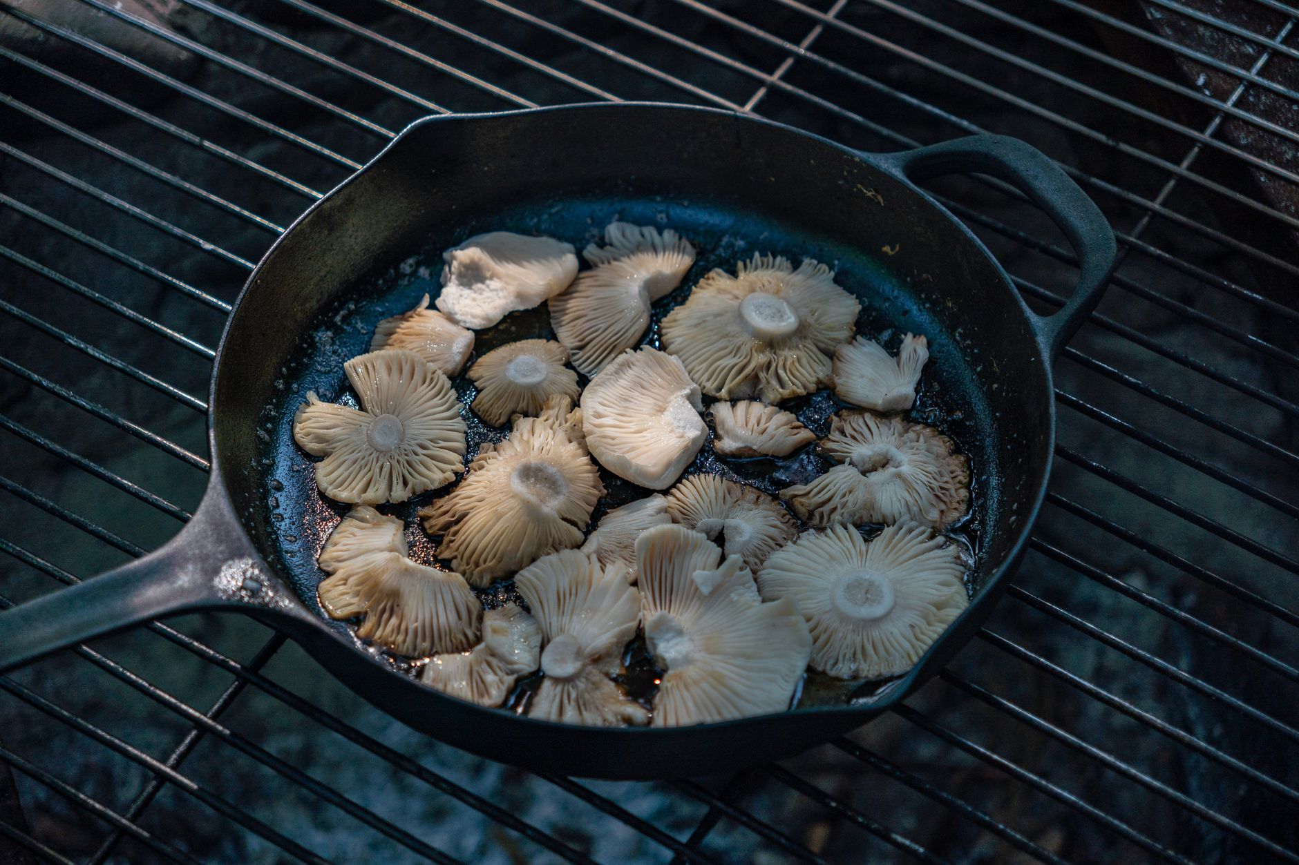 Cast Iron Skillet vs Carbon Steel: The 2026 Cook's Honest Guide to Choosing Right