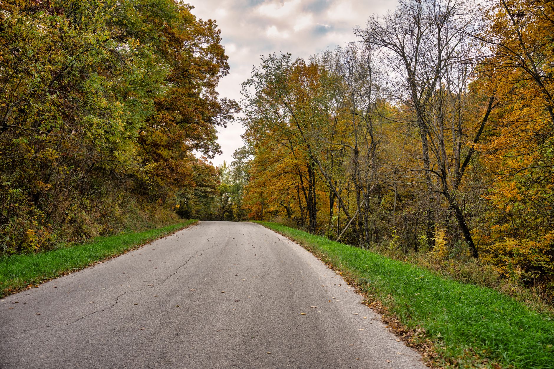 Fall Antique Hunting Trip Florida Locations: The Road-Trip Route Serious Collectors Are Taking in 2026