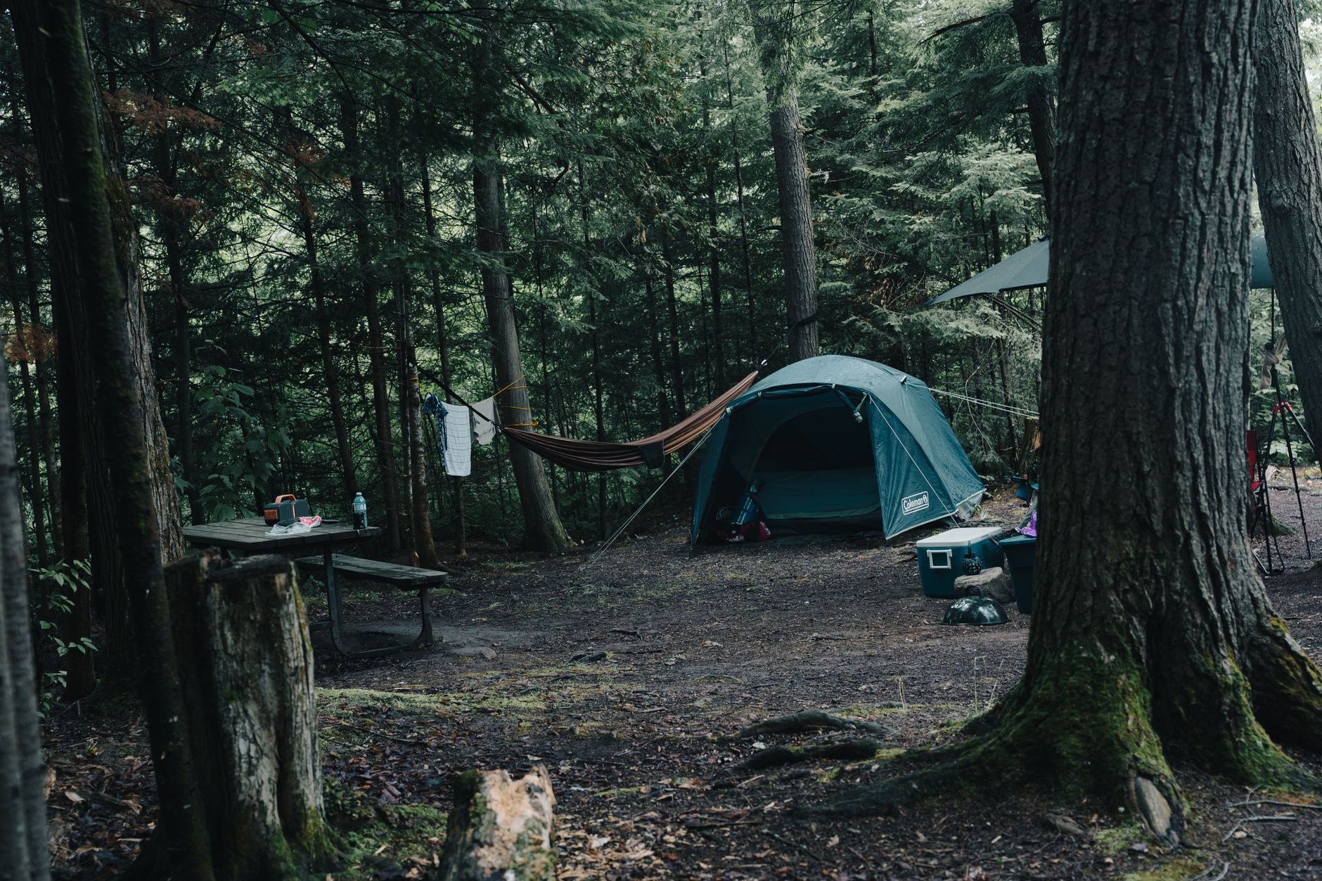 Festival Camping Cot vs Air Mattress: The Real Sleep Test for 2026 Season