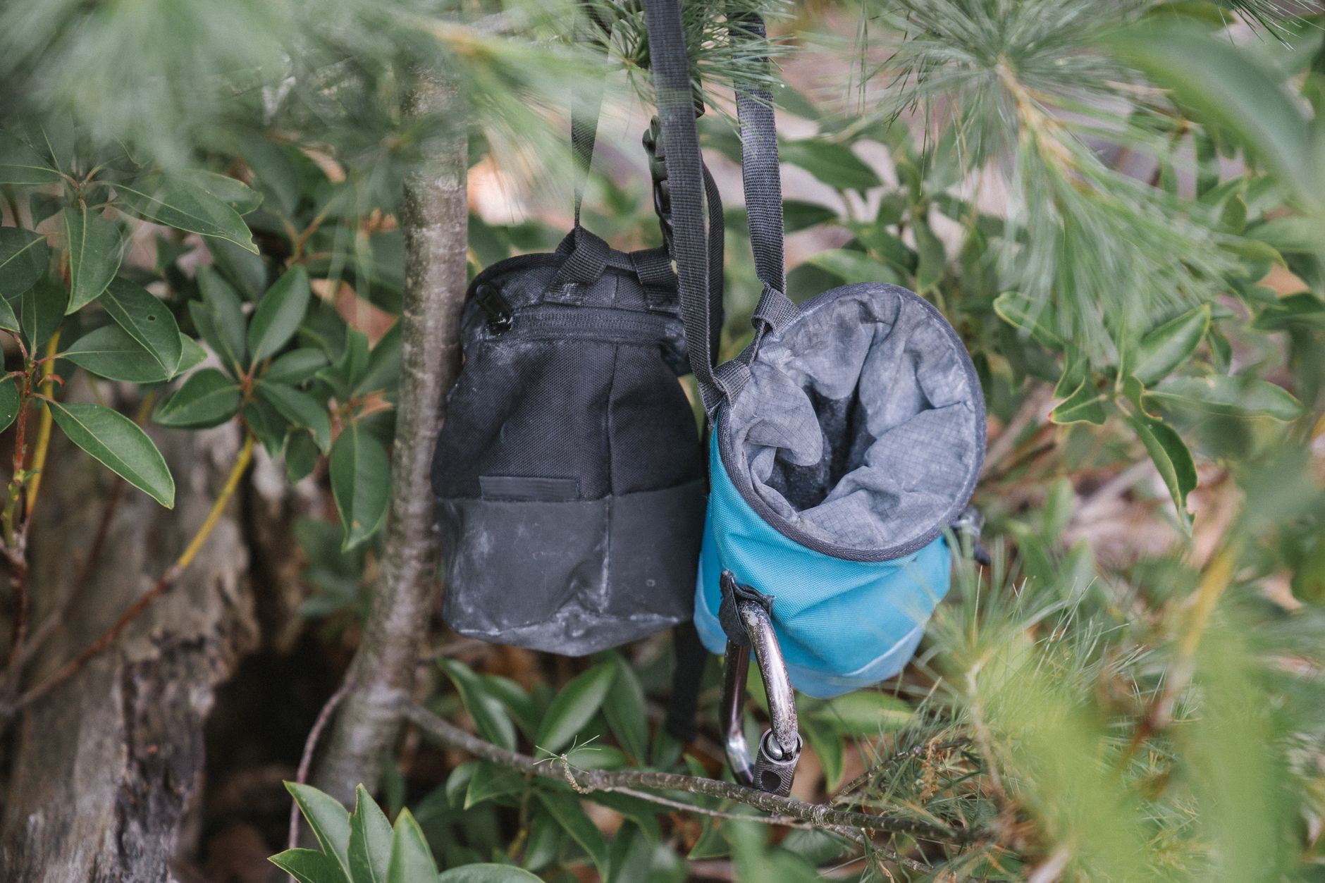 How to Hang a Bear Bag Properly: The 2026 PCT Method Every Backpacker Needs