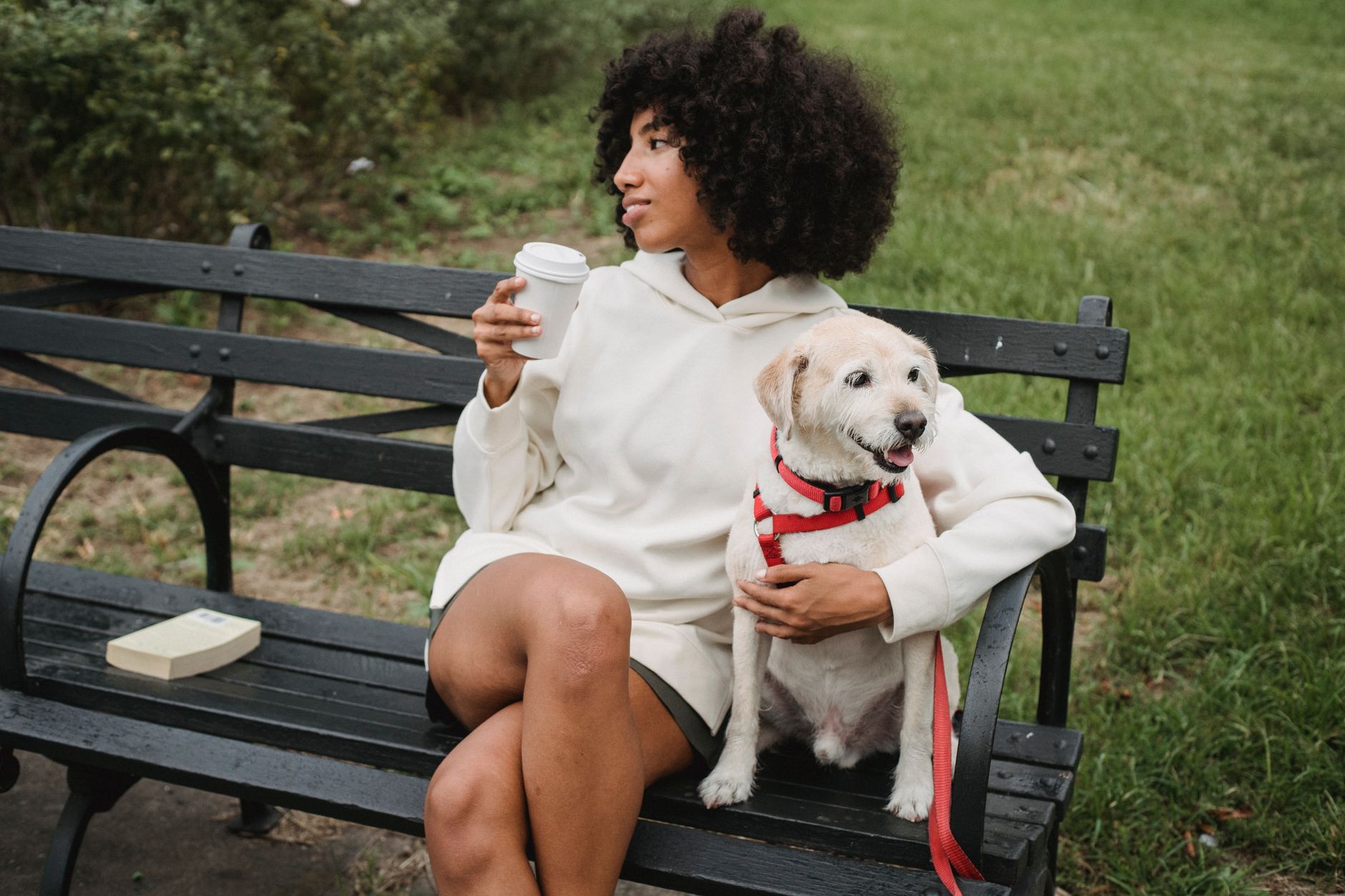 How to Make Money Dog Sitting in 2026: A Beginner's Guide to Earning $500+ a Month