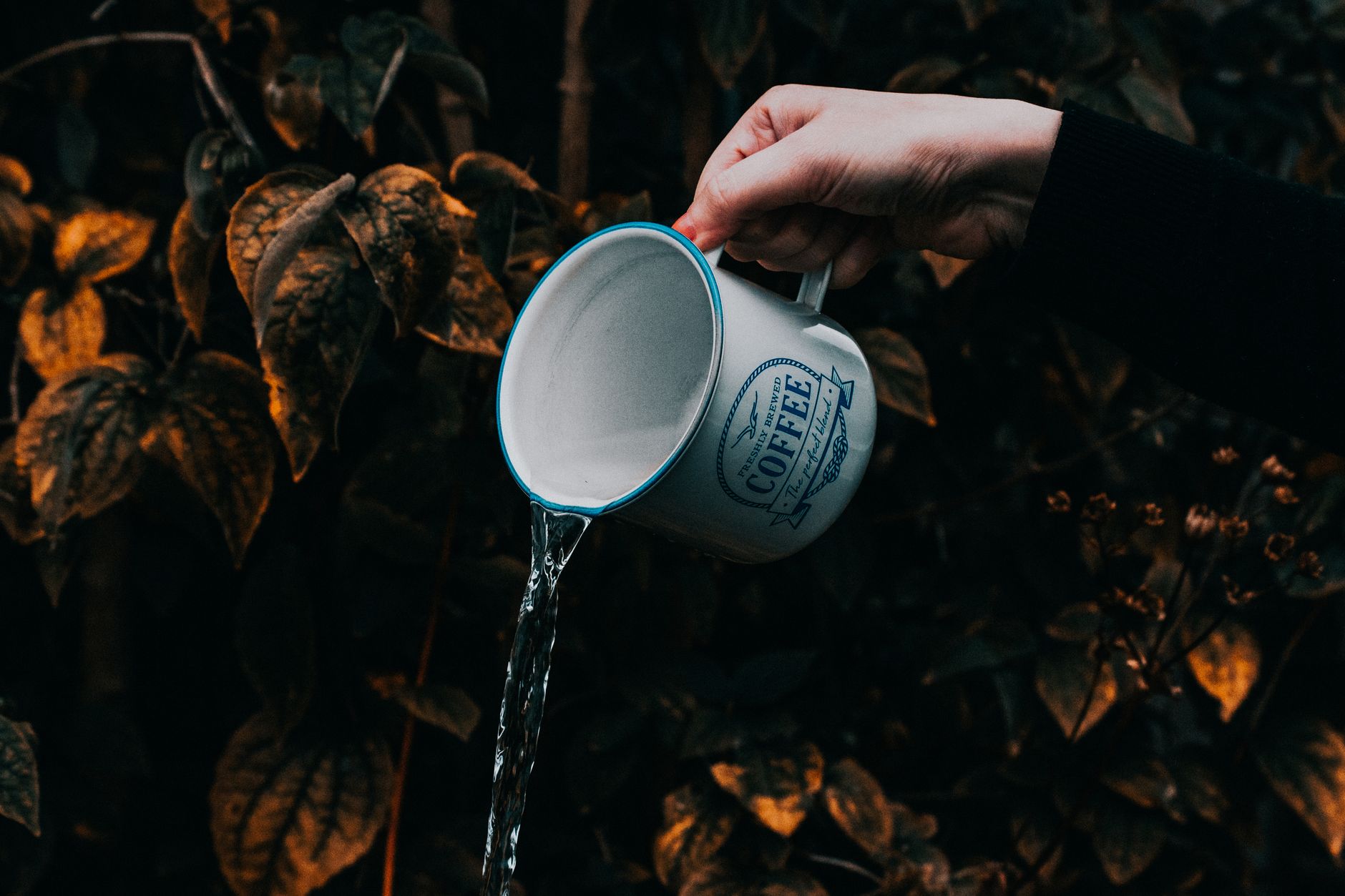 How to Purify Water in the Wild: 5 Field-Tested Methods That Actually Work
