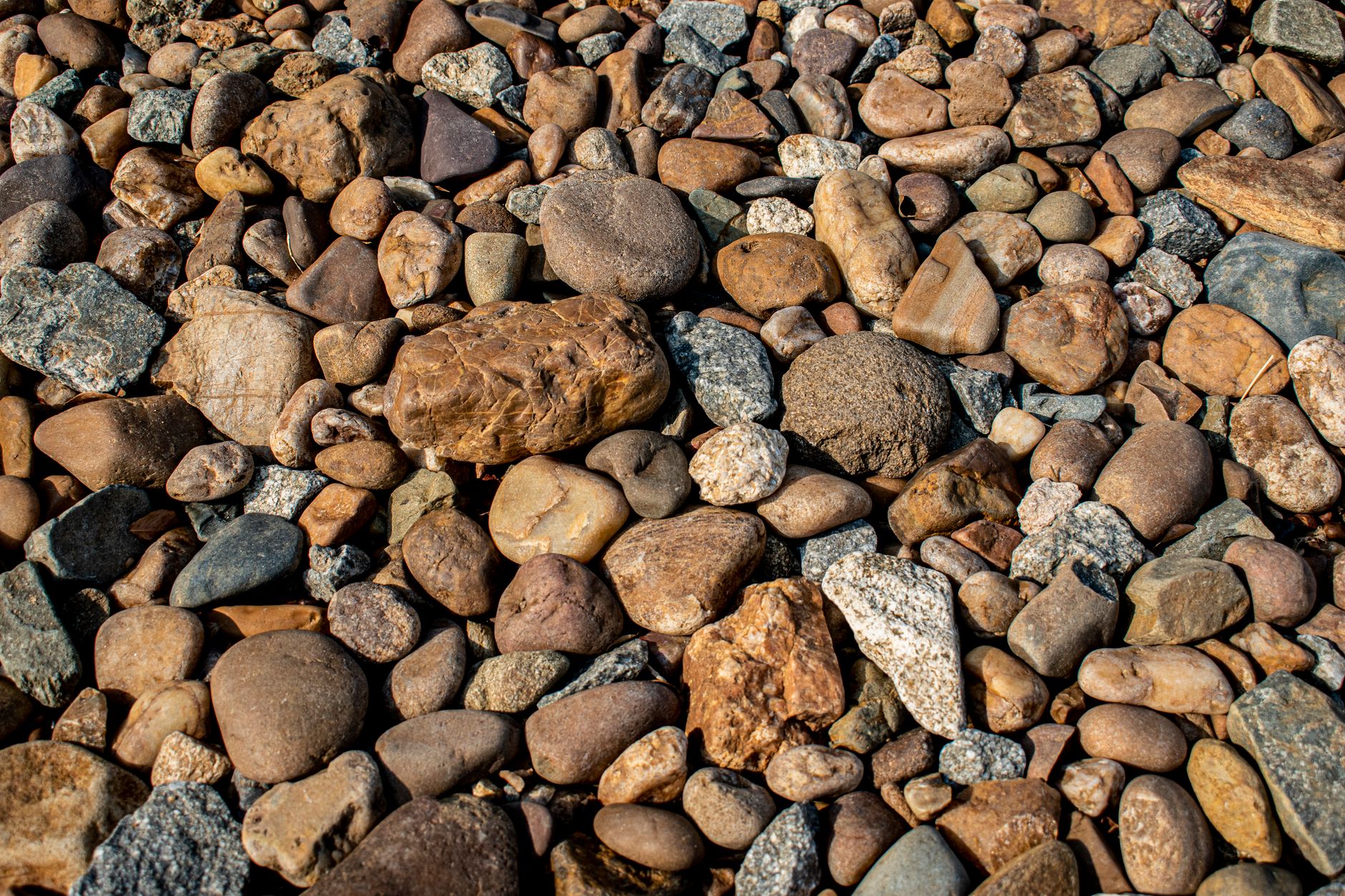 How to Start a Rock Collection on a Budget: The 2026 Beginner's Playbook