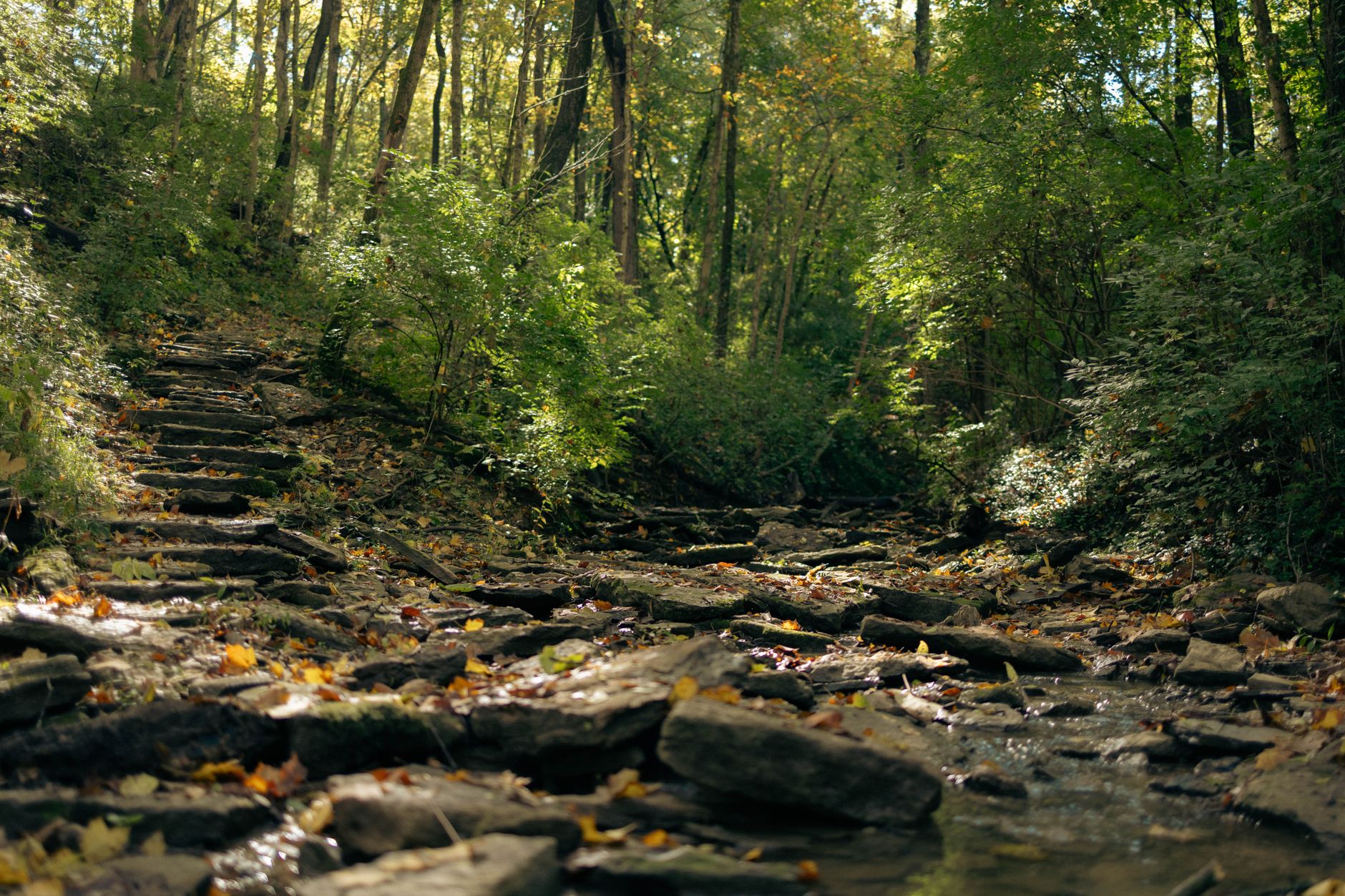 Kentucky Bourbon Trail Updates 2026 Changes: The Smart Traveler's Guide to What's Actually Different