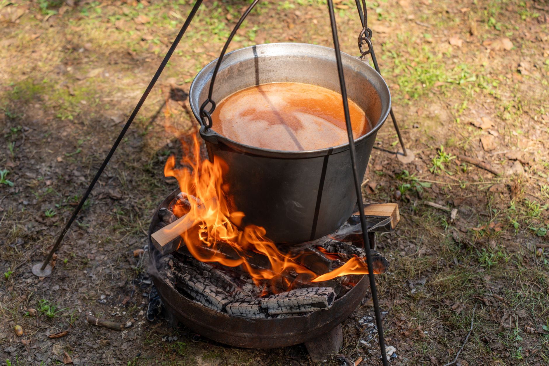 Live Fire Cooking Techniques Beginners Actually Need (Skip the Fancy Gear)