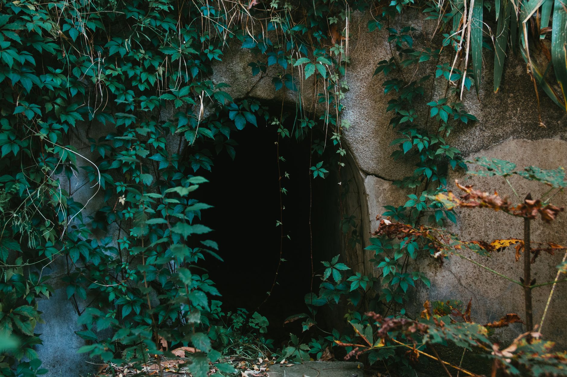 Micro Adventure Urban Wilderness Escapes: 6 Hidden City Ecosystems You Can Explore in 90 Minutes