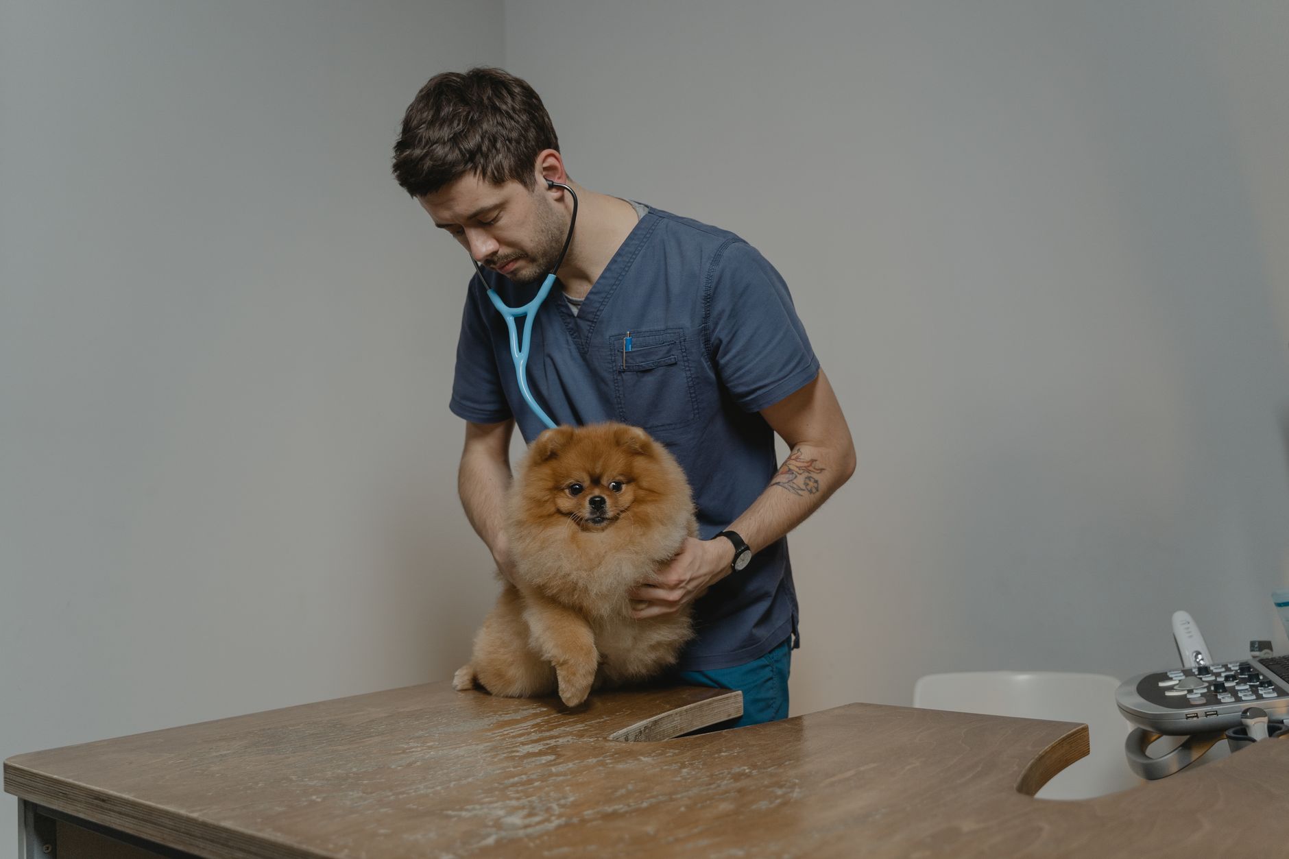 Pet Insurance Pre Existing Conditions 2026: The 5 Plans That Actually Pay Out (And What to Avoid)