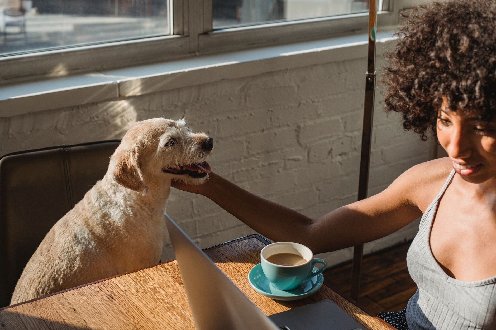 Smart Home Automation for Pet Owners: The 2026 Guide to a Paw-Safe, Hands-Free Household