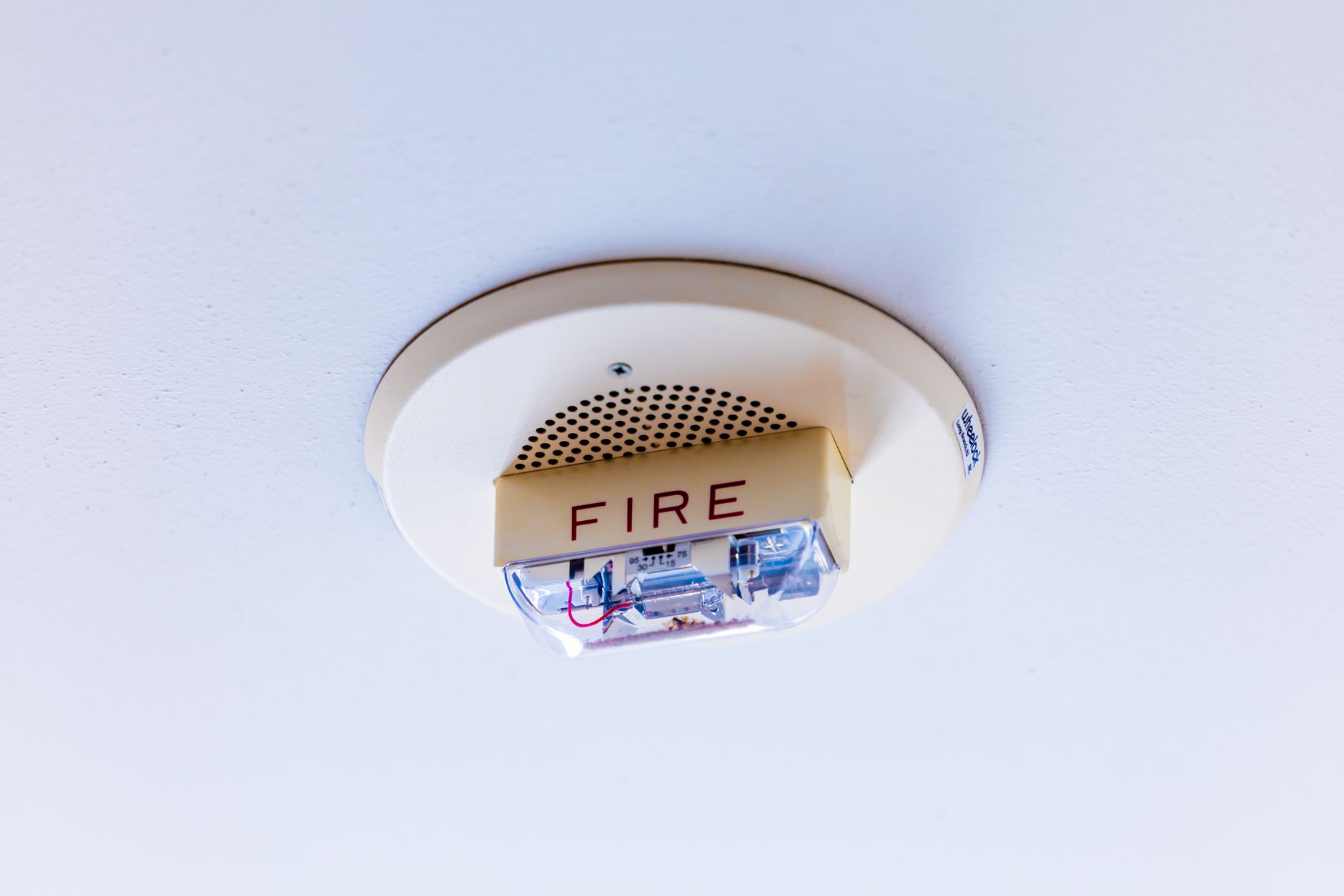 Smart Home Water Leak Detector Placement Guide: 7 Critical Spots to Protect Your Home in 2026