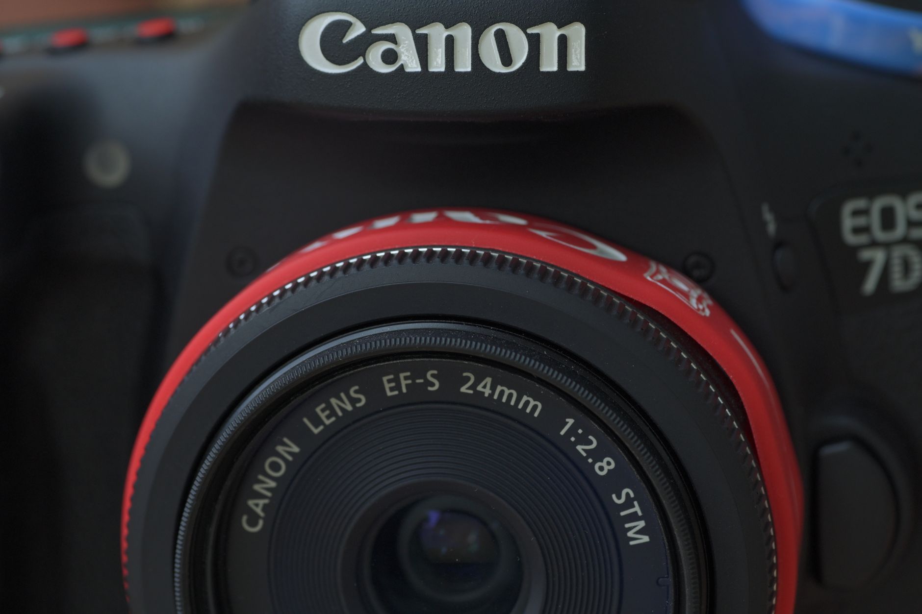 The Best Camera for Wildlife Photography Beginners in 2026: Skip the Pro Gear, Start Here