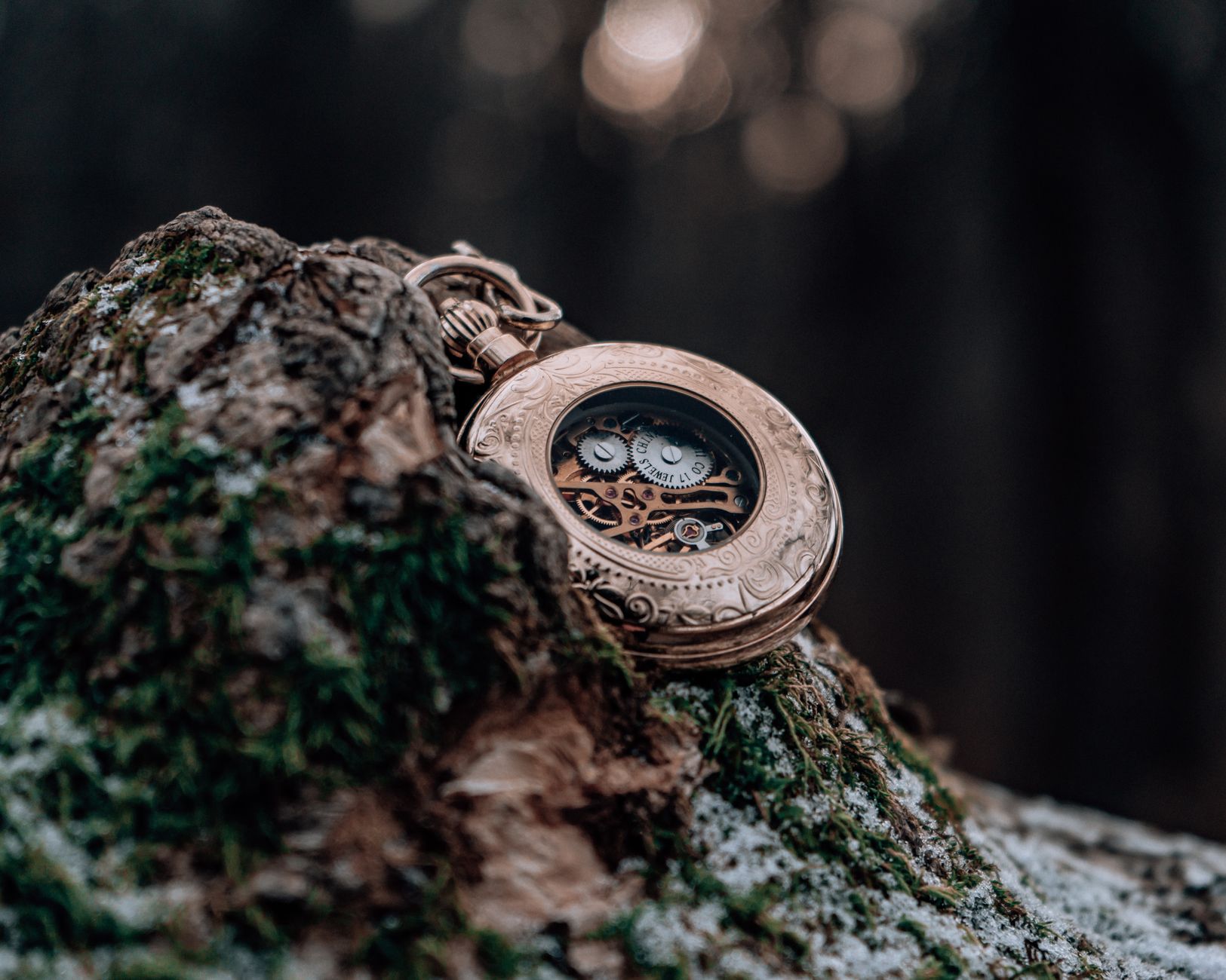 The Complete Antique Pocket Watch Serial Number Lookup Guide: From Estate Sale Find to Verified Treasure