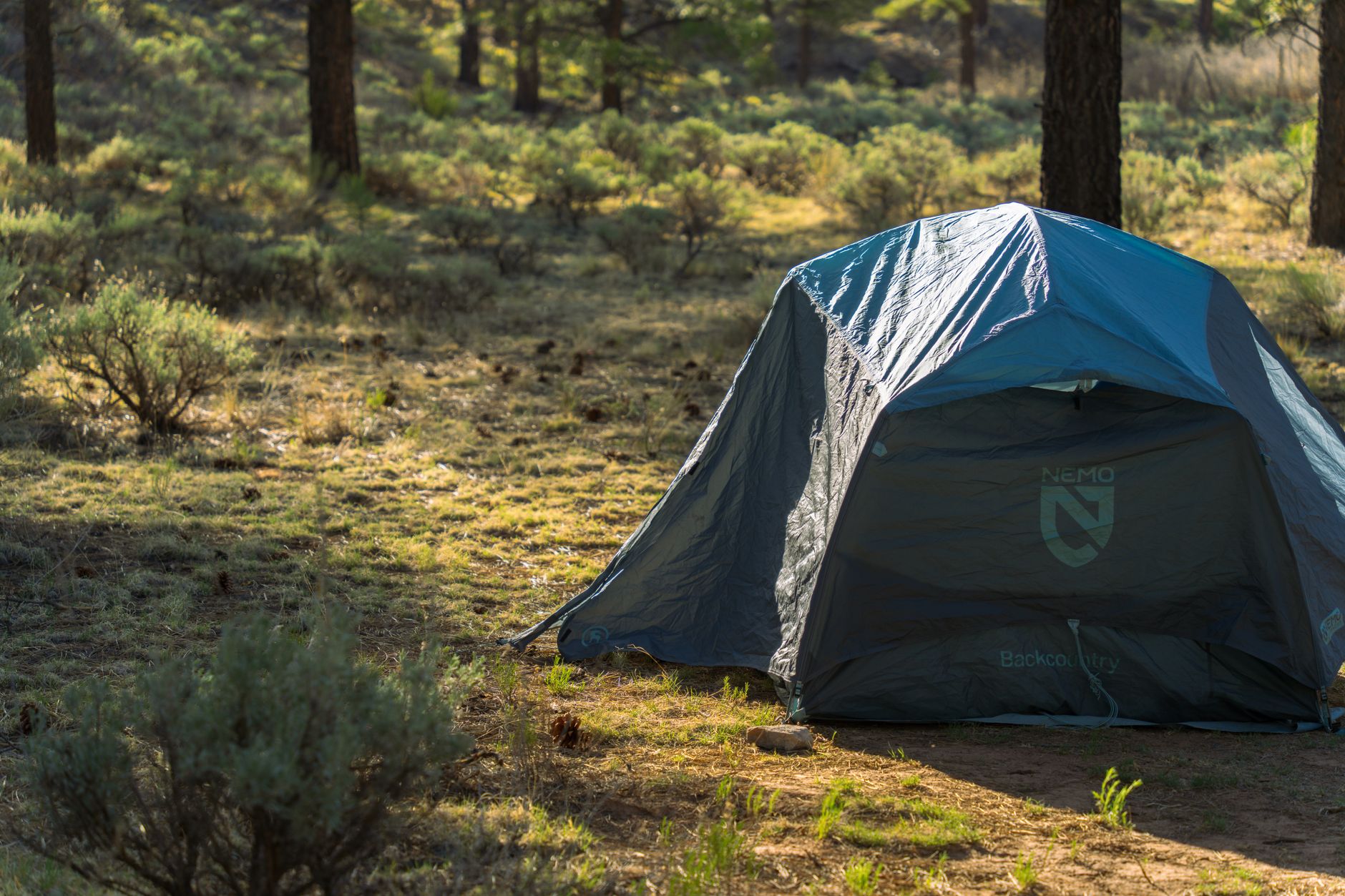 The Complete Guide to Using an Electric Car for Camping Power (2026)