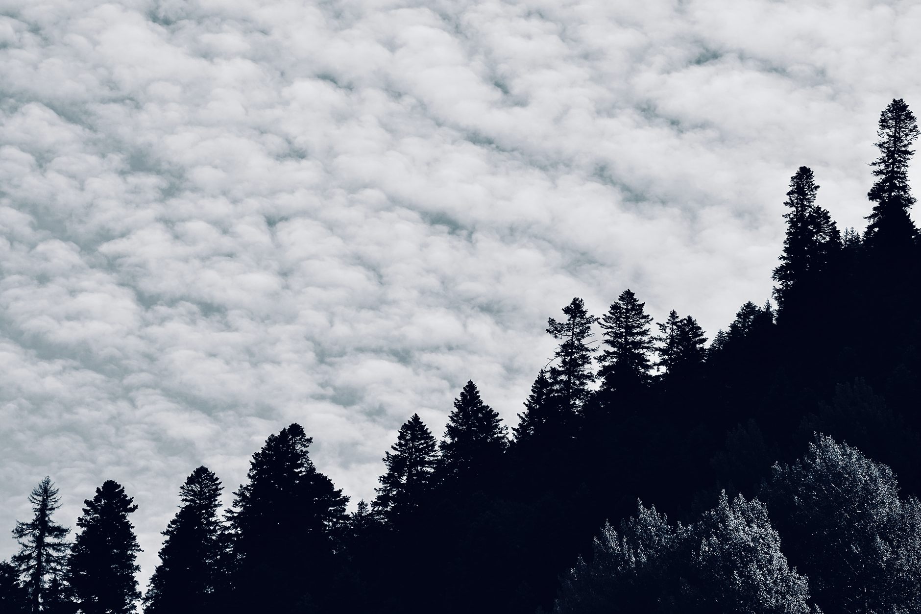 The Evergreen Content Strategy for SaaS That Cuts CAC by 40% (Without Chasing Trends)