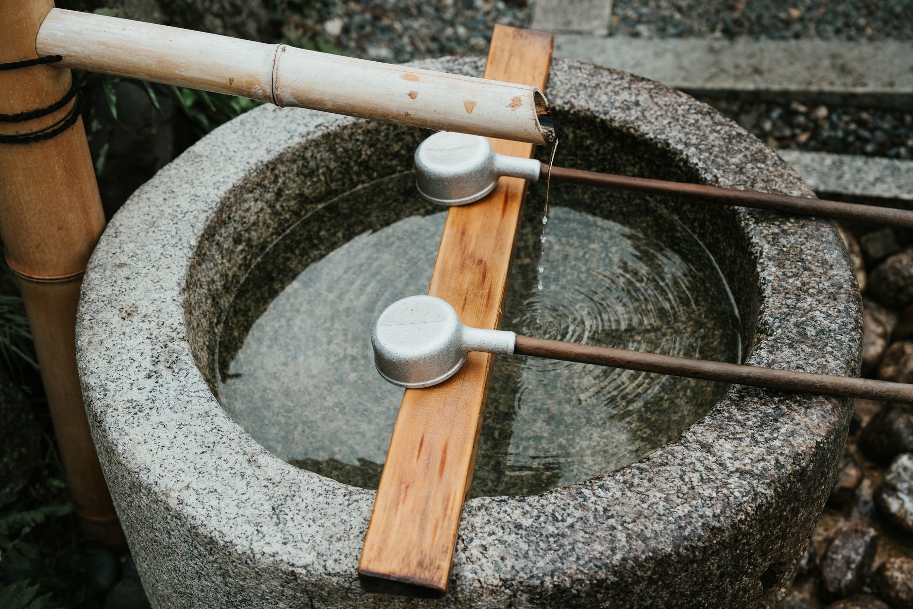 Wilderness Water Purification Methods Comparison: The 2026 Field-Tested Guide for Backcountry Travelers